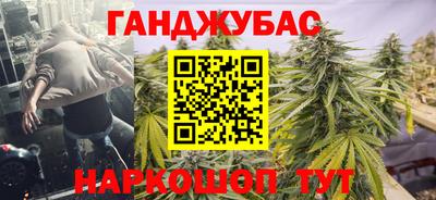стаф Кингисепп