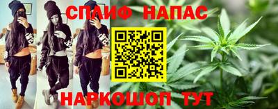стаф Кингисепп