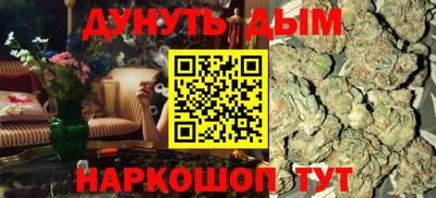 стаф Кингисепп
