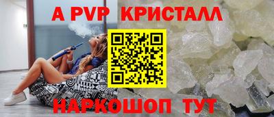 стаф Кингисепп