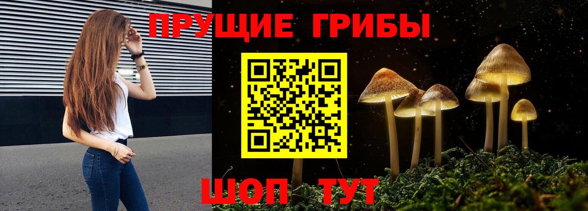 Псилоцибиновые грибы Magic Shrooms  Вход с VPN  Галлюциногенные грибы Cubensis  Аксай 